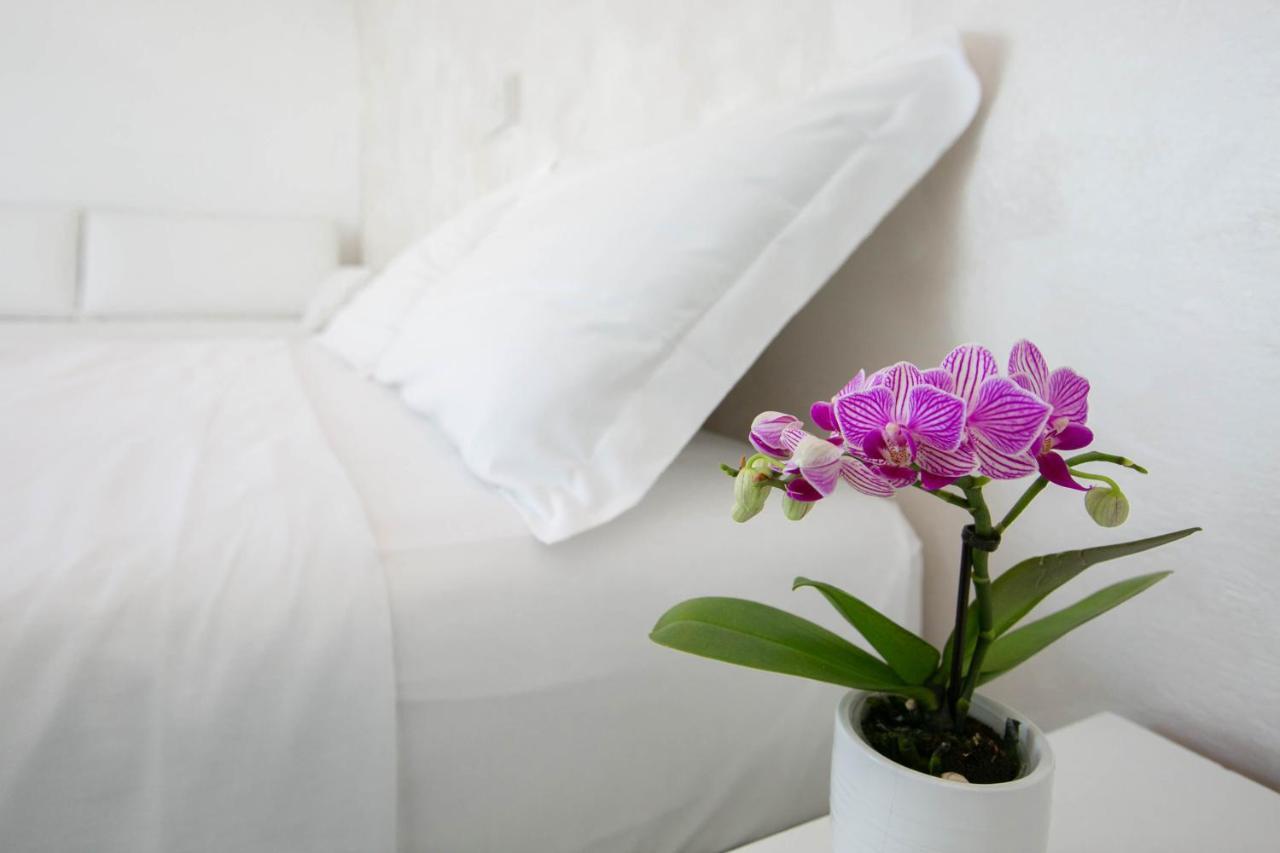Hotel Nuovo Giardino Римини Екстериор снимка